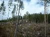 2003_0517_165128AA.jpg